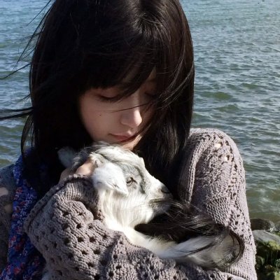 犬夜叉：红莲之蓬莱岛